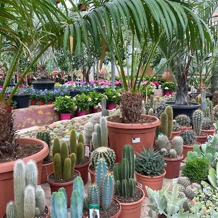 Jardines * Sitio de Calahonda